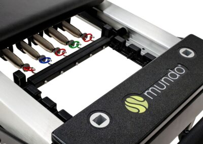 luna-reformer-springbar